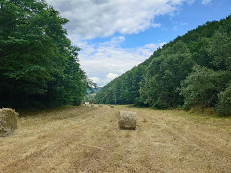 Teren intravilan de 5800 mp, în Podele