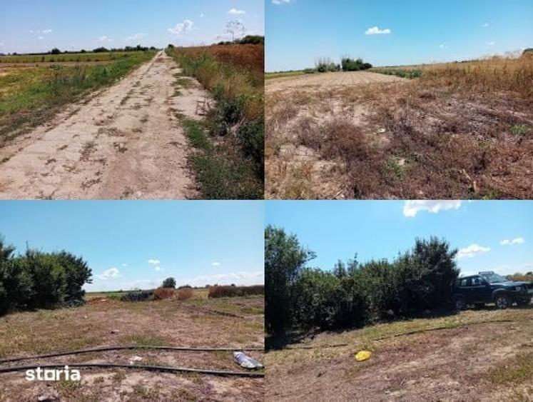 Teren extravilan Adunatii Copaceni, ID: R3345028 - 6