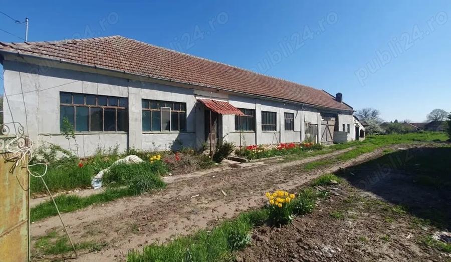 Casă cu 5 camere cu Teren 2259 Mp în Zădăreni