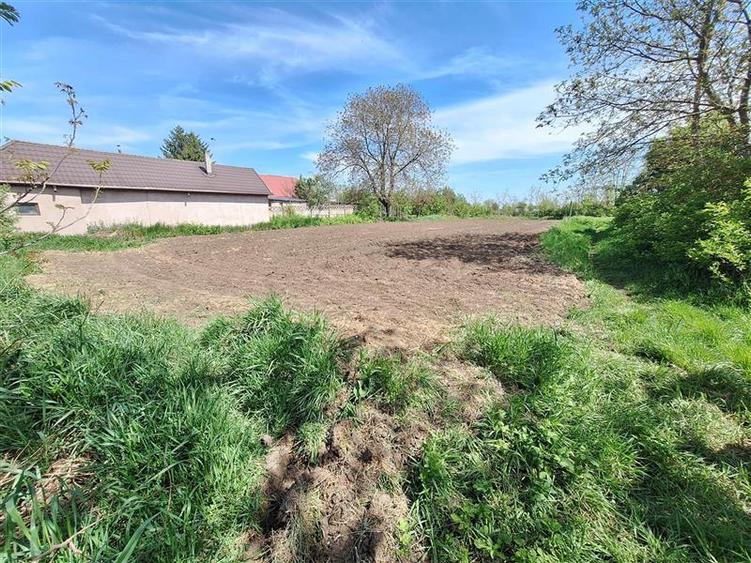 Teren Construcții intravilan de 1180 mp, în 9 Mai