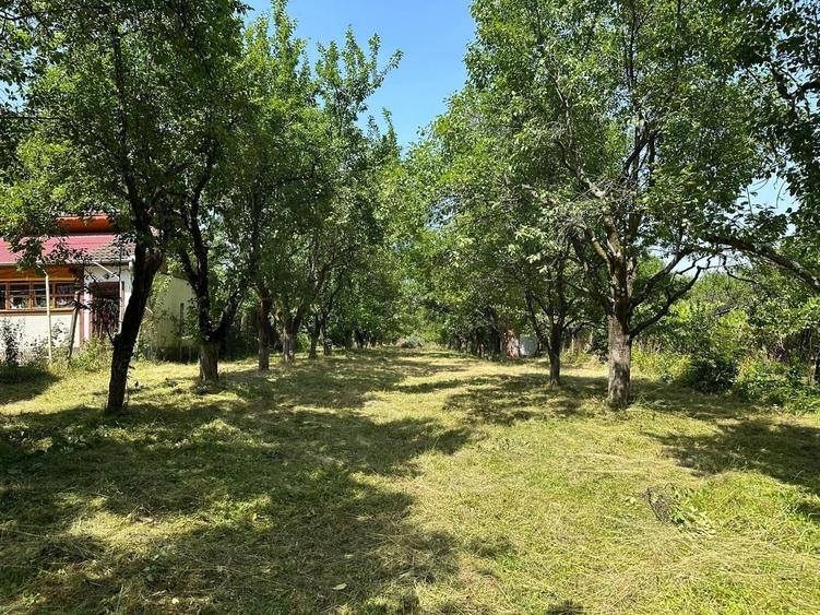 Teren Construcții intravilan de 1915 mp, în Sadu
