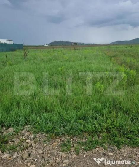 Teren pentru casa intravilan , 800 mp deschidere la drum Bod - 5