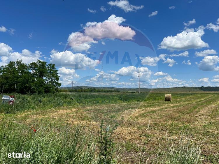 Teren de 2900 mp, în Jucu