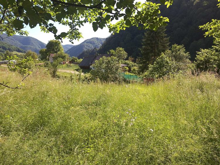 Vind teren la munte in Rau Sadului jud.Sibiu intravilan pozitie foarte buna - 6
