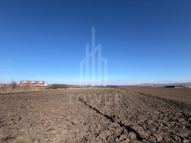 Teren Construcții intravilan de 3500 mp, în Exterior Sud
