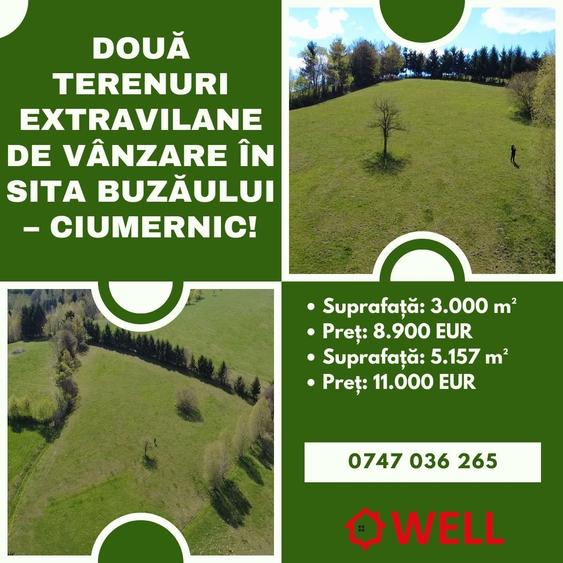 Teren extravilan de 8157 mp, în Sita Buzăului
