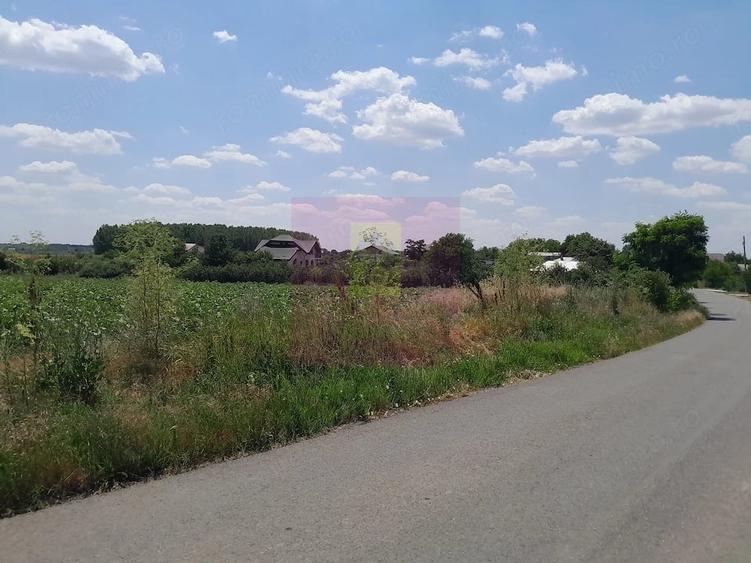 Teren de 16500 mp, în Teișori
