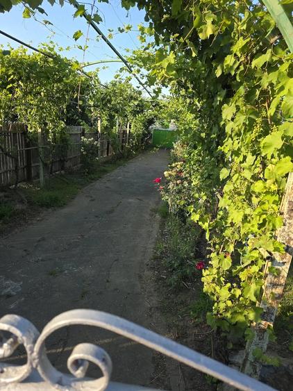 Casă cu Teren 1000 Mp în Central