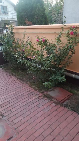 Casă cu 4 camere în Preajba