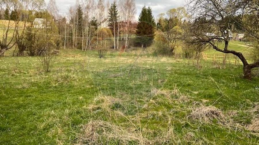 Teren Construcții intravilan de 3183 mp, în Dorna-Arini
