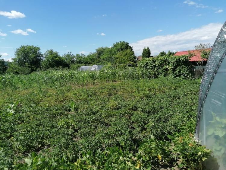Casă individuală cu 6 camere cu Canalizare în Reghin
