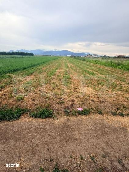 Teren de 4350 mp, în Stupini