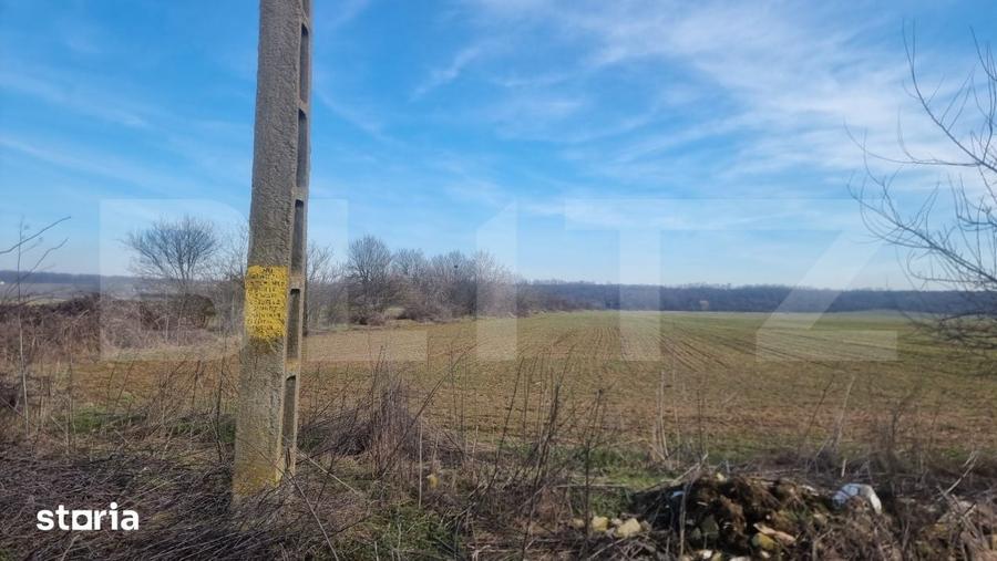 Teren de 14700 mp, în Lipănești