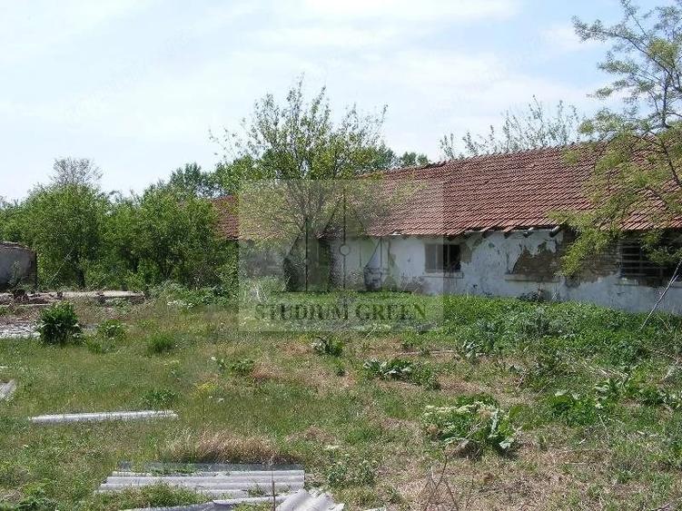 Teren de 9795 mp, în Rădoiești
