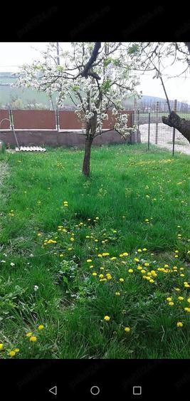 Casă cu Teren 1422 Mp în Căianu