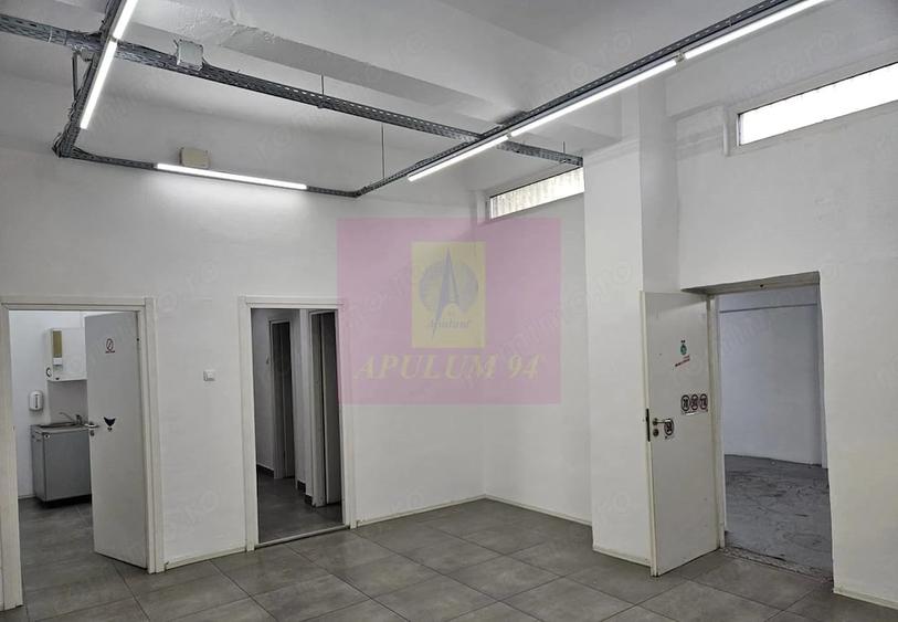 Spațiu comercial, de 261 mp, în Tineretului
