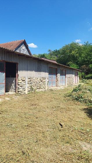 Casă cu 2 camere în Rapolțel