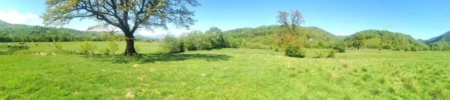 Teren de 25500 mp, în Cheile Râșnoavei