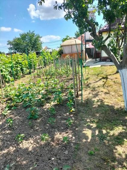 Casă cu Teren 1000 Mp în Central