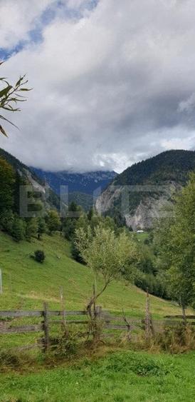 Teren 13.570 mp, Moieciu Pestera - 7