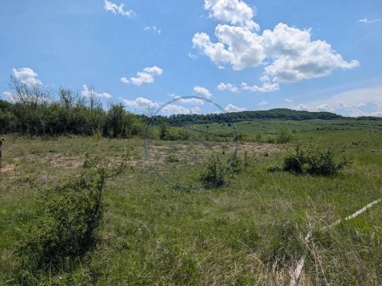 Oportunitate de investi?ie teren intravilan in zona Valea Sigmirului - 5