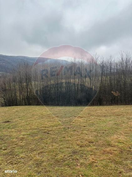 Spațiu comercial, în Negreni
