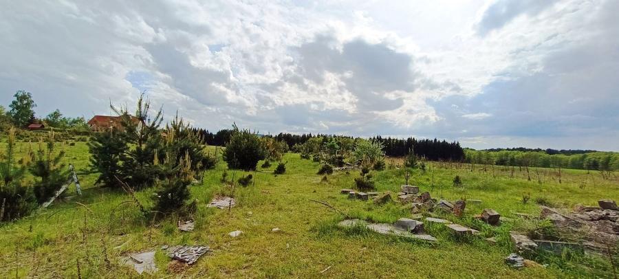 Teren Construcții intravilan de 1445 mp, în Reci