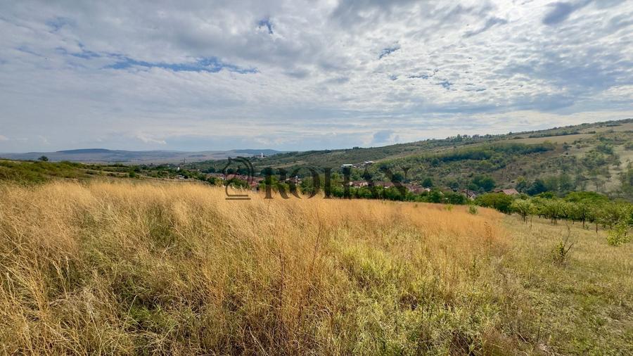 Teren agricol extravilan de 4000 mp, în Cricău