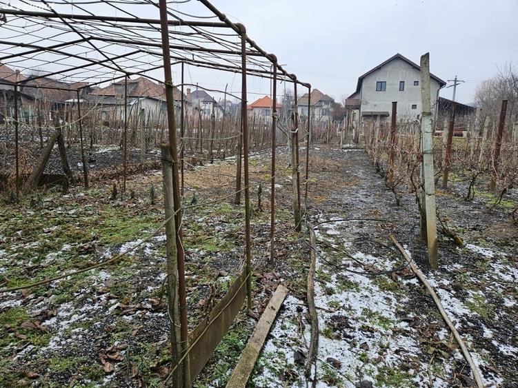 Casă în Târnăveni
