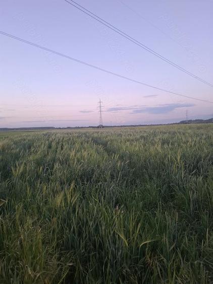 Teren de 3800 mp, în Dărăști-Ilfov