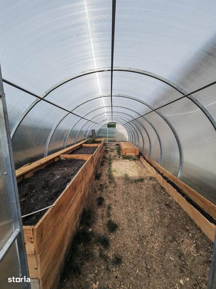 Casă cu 2 camere cu Teren 1044 Mp în Ileana