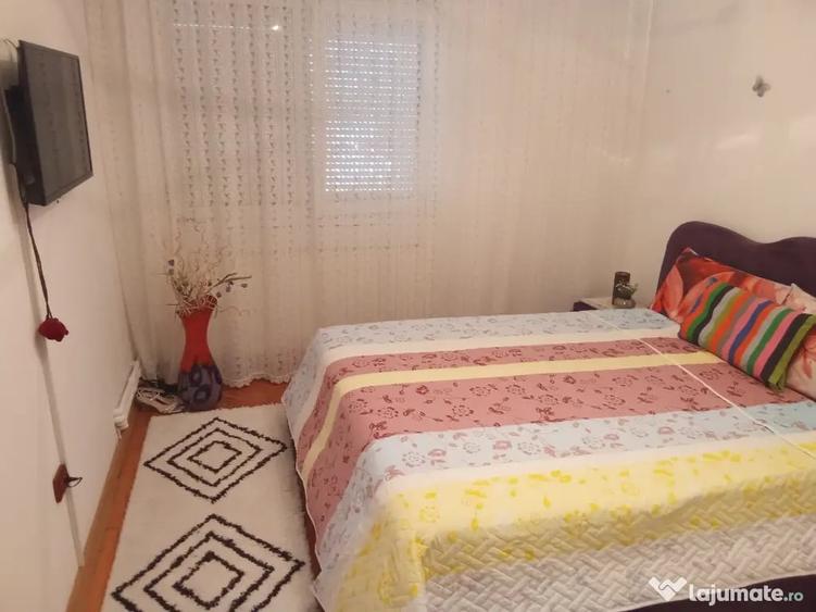 Apartament spatios 2 camere Obor-Albinii - 4