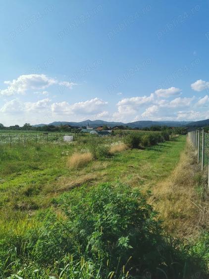Teren de 2600 mp, în Săsar