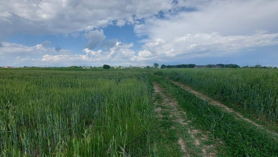 Teren în Central