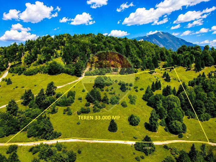 Teren agricol extravilan de 33319 mp, în Vlădeț - Trei Brazi