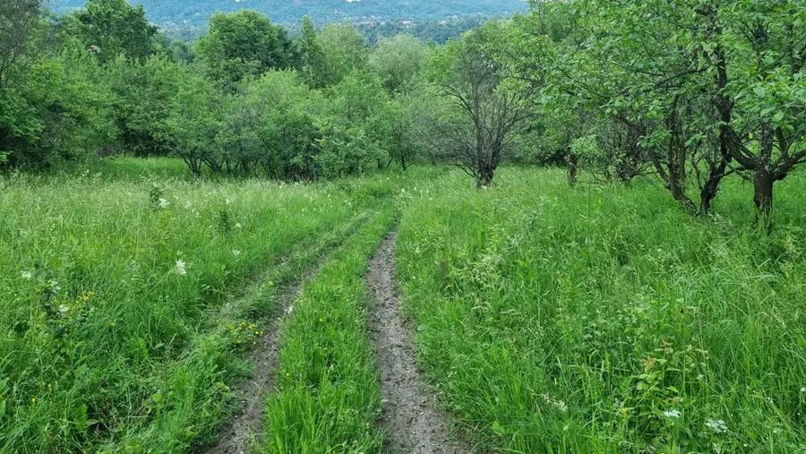 Teren de 5200 mp, în Central