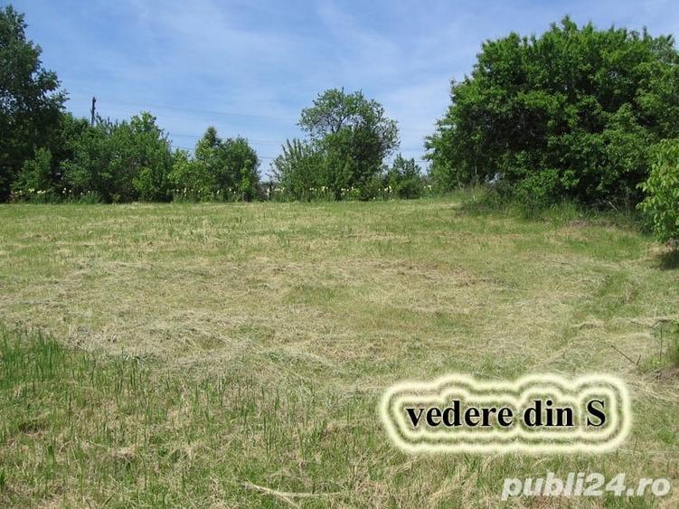 Teren de 1609 mp, în Seciu