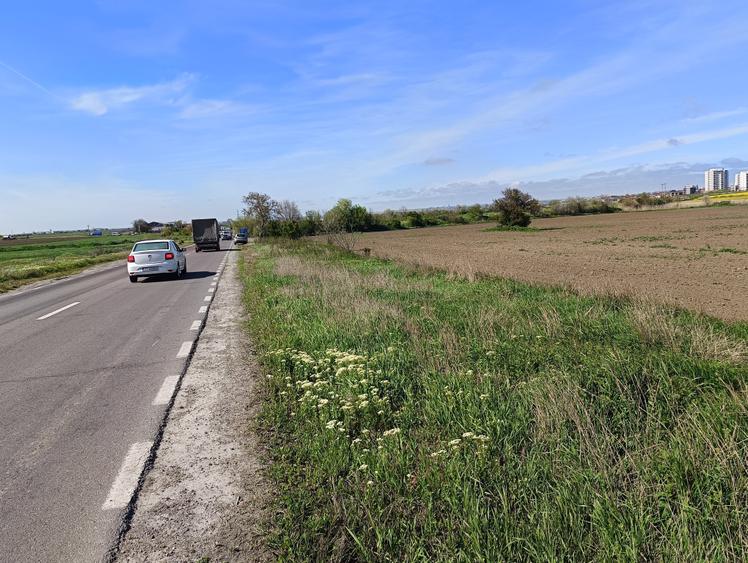 Teren agricol extravilan de 25000 mp, în Exterior Vest
