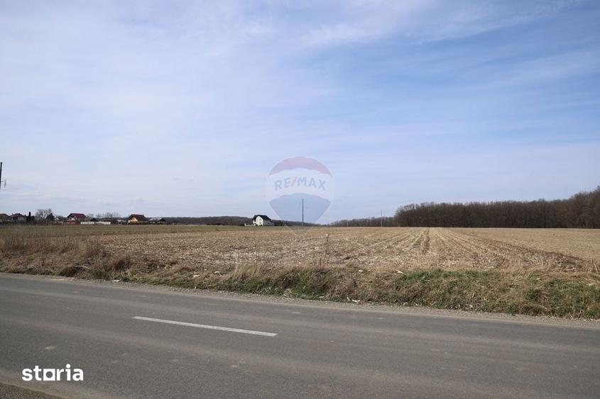 Teren de 9740 mp, în Bosanci