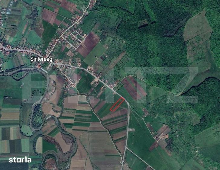 Teren de 13000 mp, în Șintereag