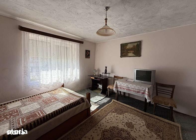 Casă cu 3 camere cu Teren 7981 Mp în Cetariu