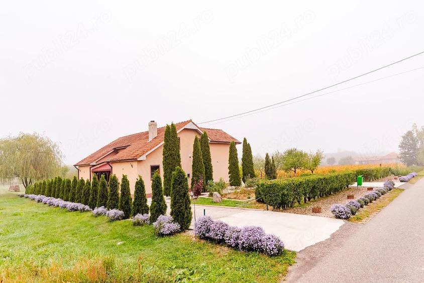 Casă cu 4 camere cu Teren 3200 Mp în Archiș
