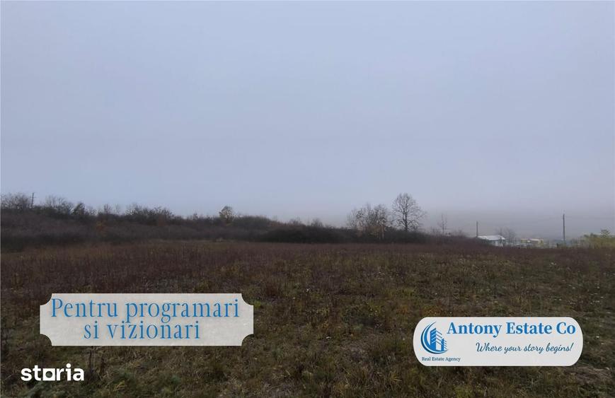 Antony Estate | Teren Intravilan de vanzare- Bors - 2