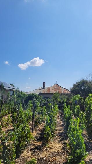 Casă cu 4 camere în Dor Mărunt