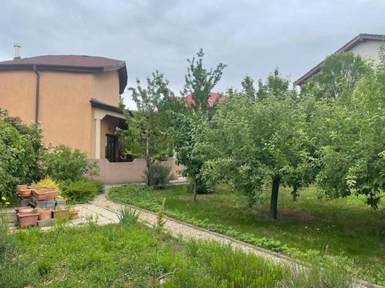 Casă individuală cu 6 camere cu Canalizare în Pipera