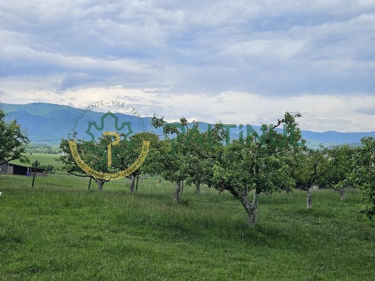 Teren agricol extravilan de 5000 mp, în Periferie
