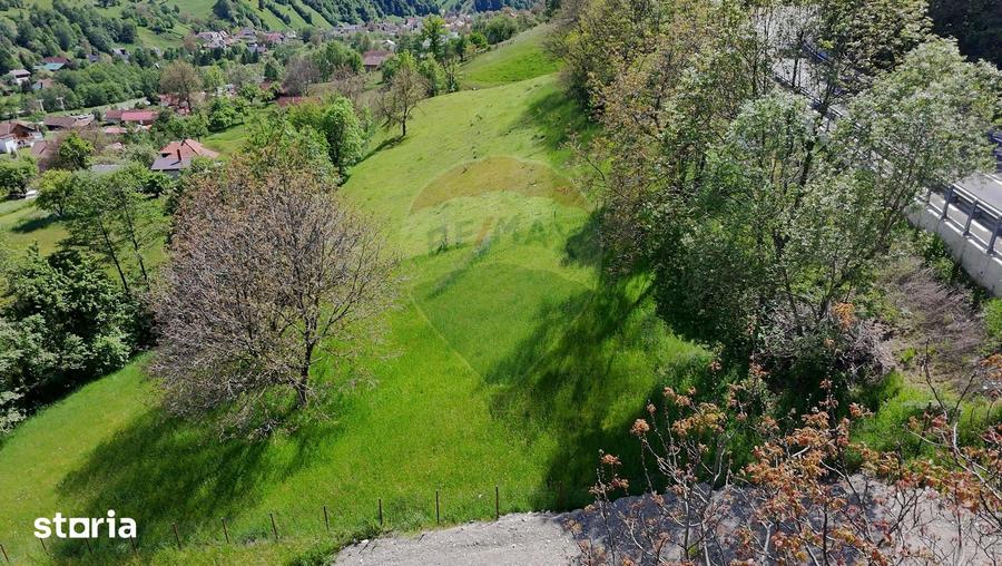 Teren intravilan |Moieciu de Jos| str. Principala| - 6