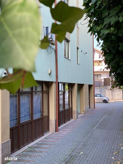 Spațiu comercial, de 22 mp, în Sub Arini