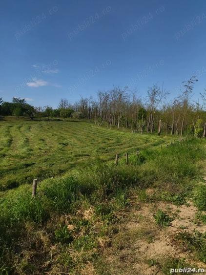 Teren de 2500 mp, în Mihăilești