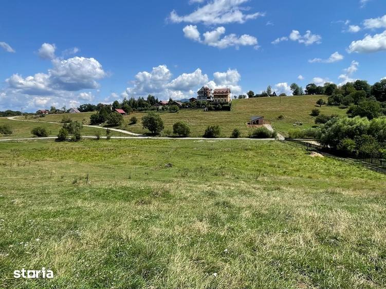 INVESTI?IE | Teren 5000 mp PUZ APROBAT intravilan - zona Sohodol -Bran - 3